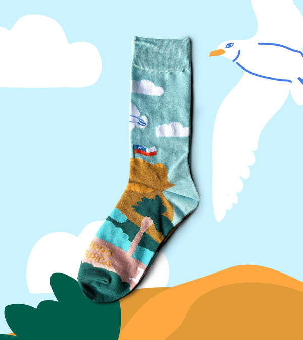 Calcetines Arica y Parinacota