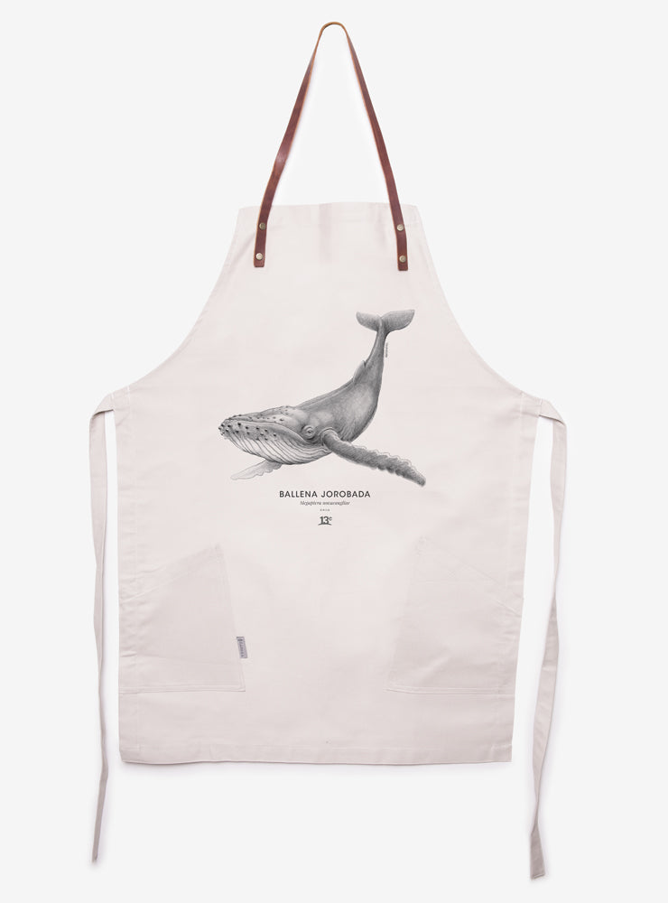 Delantal – Ballena Jorobada