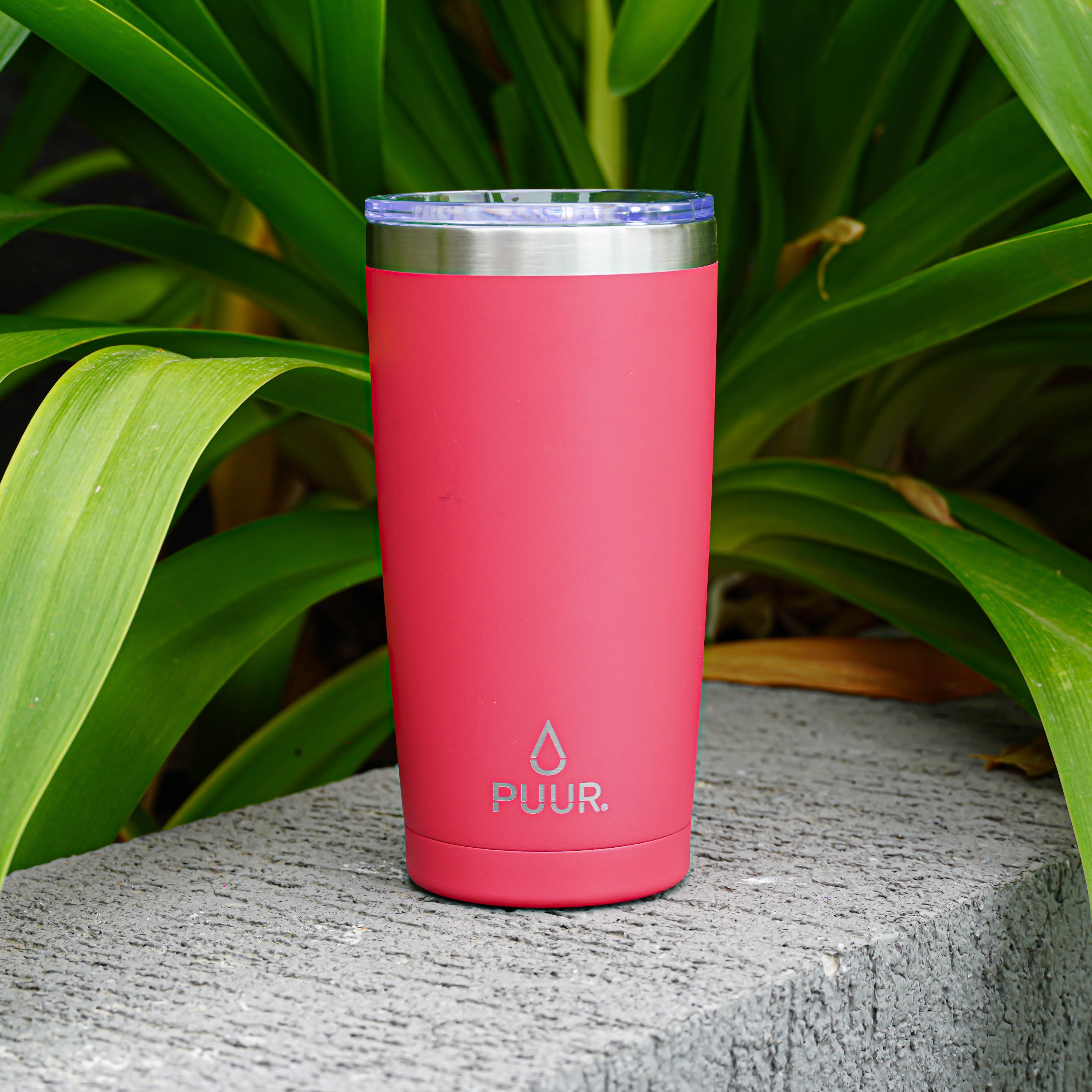 Puur Cup Viva Magenta I La Cultura es una Fiesta I 570 ml