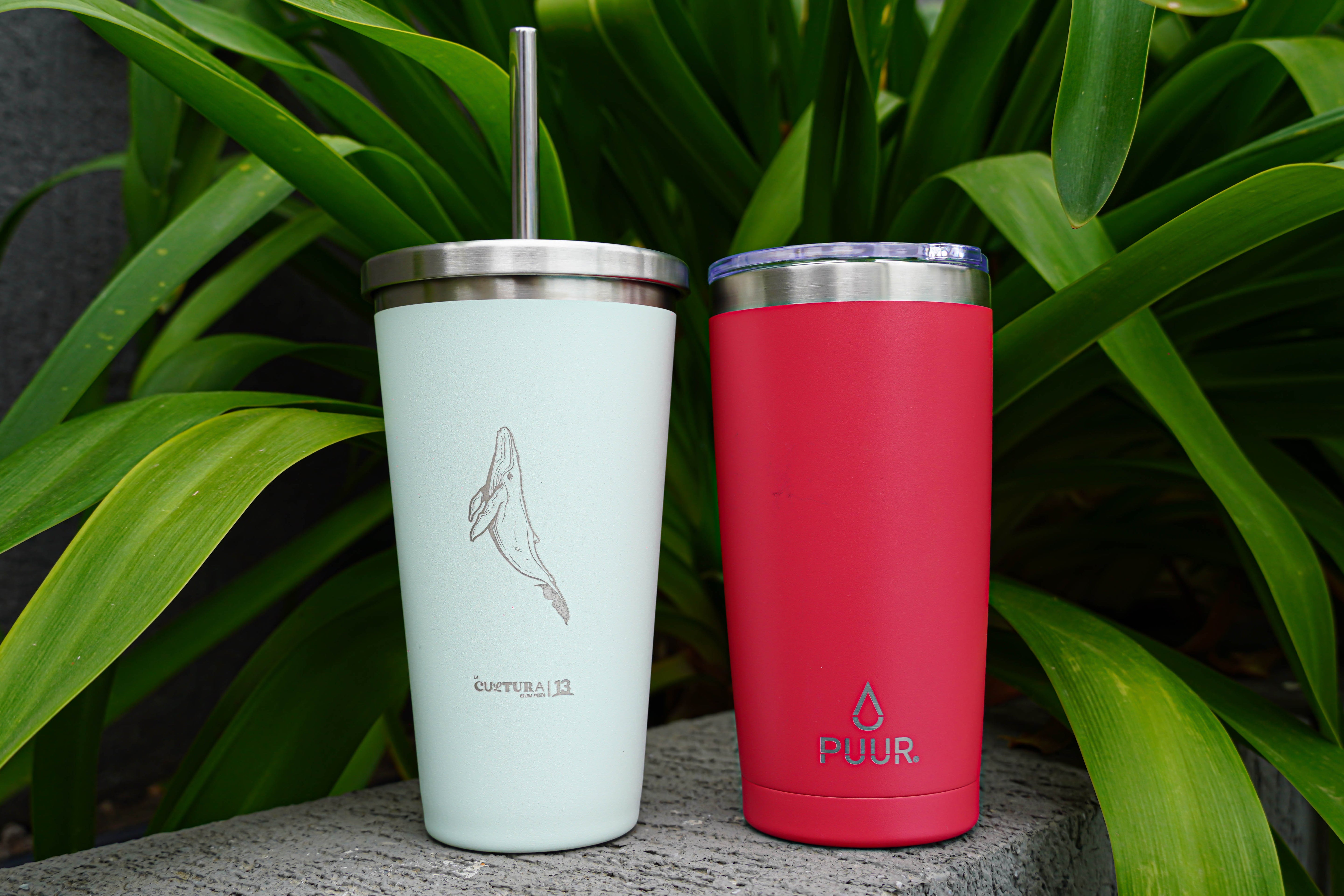 Puur Cup Viva Magenta I La Cultura es una Fiesta I 570 ml