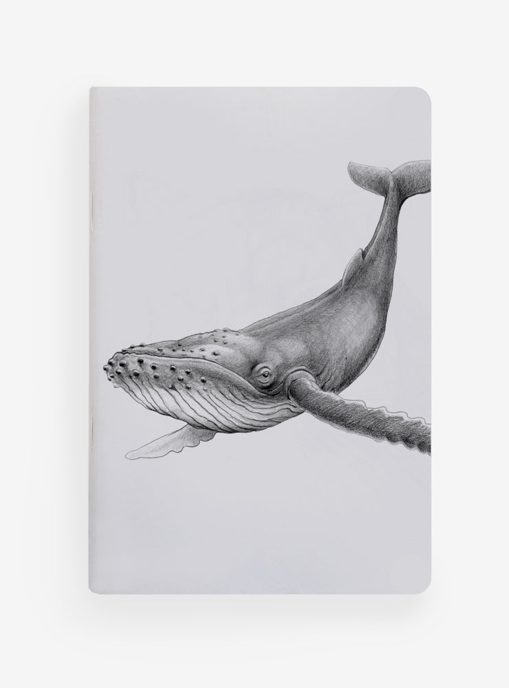Libreta – Ballena Jorobada