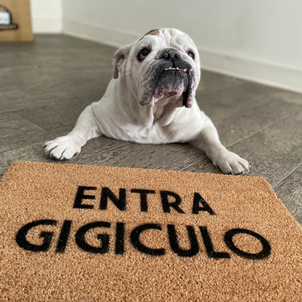 Limpiapiés Entra Gigiculo