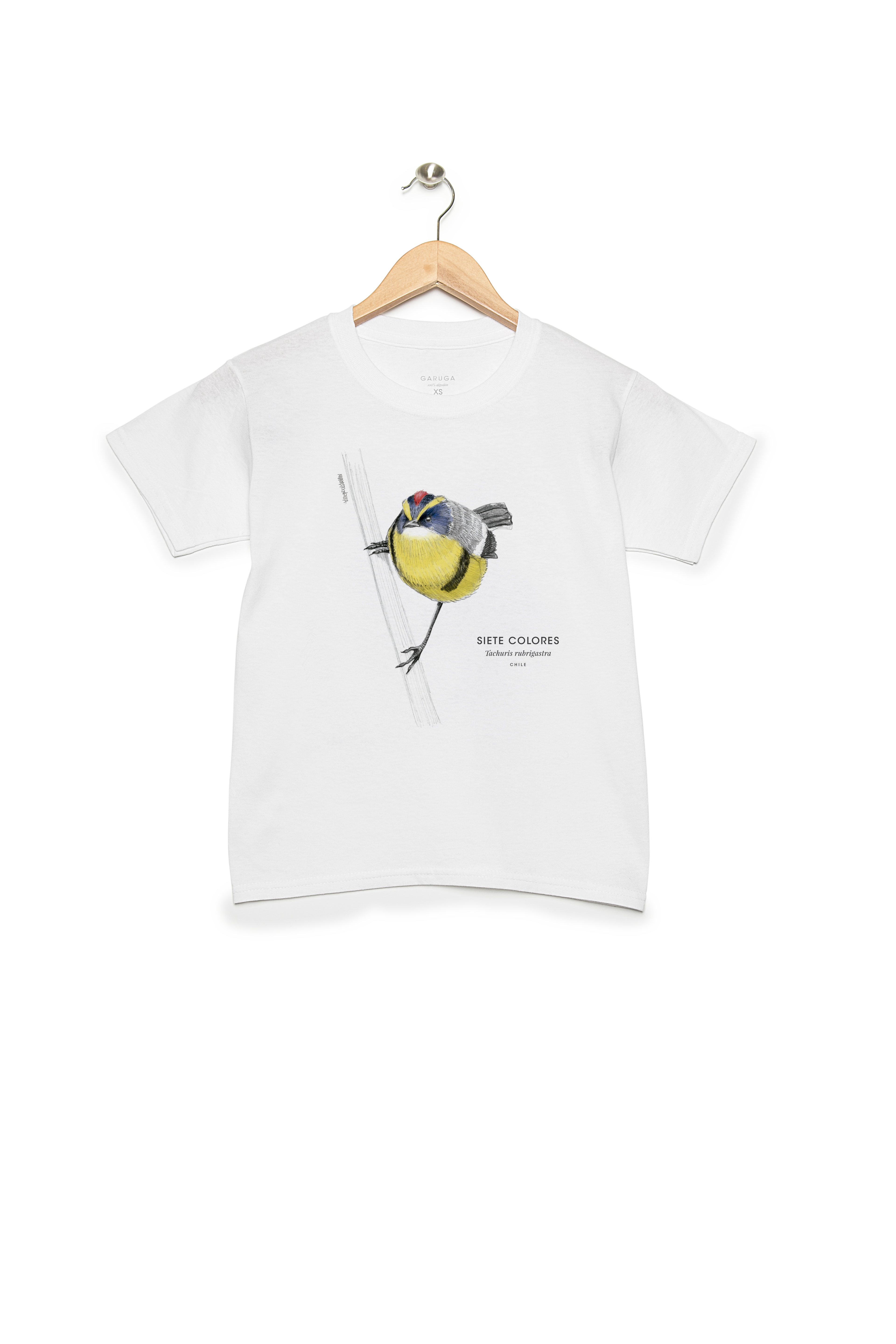 Polera Niño – Siete Colores