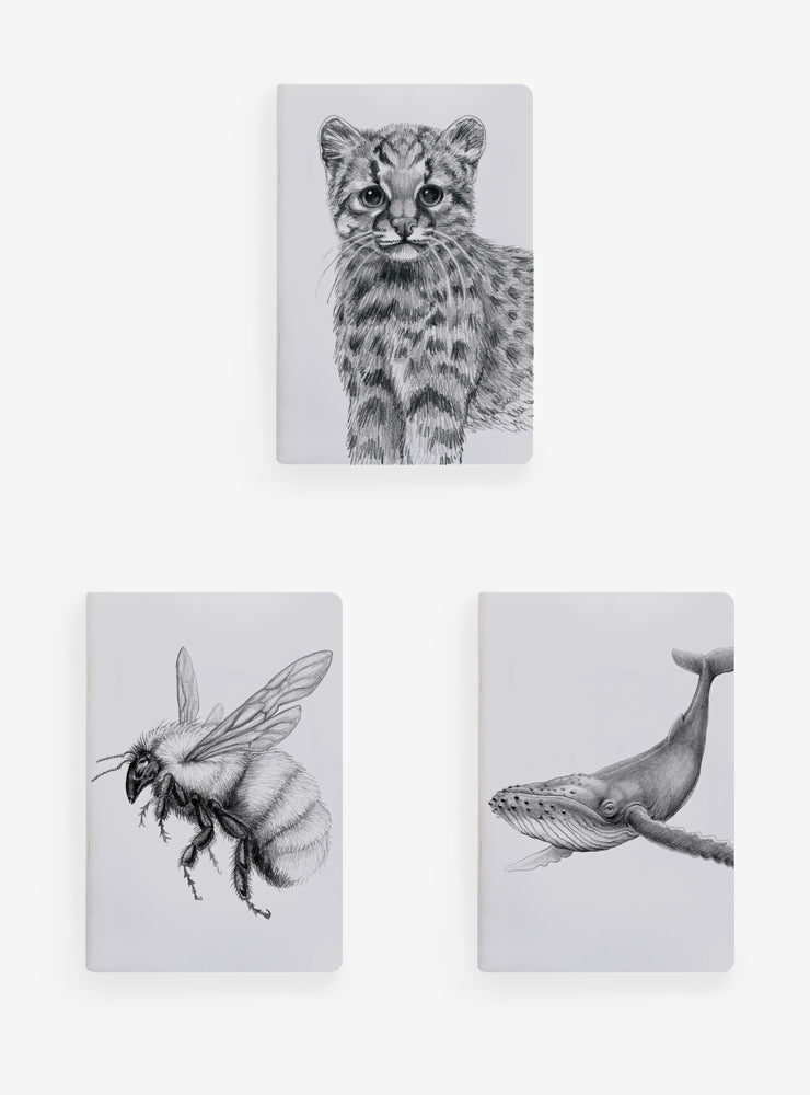 Pack 4 Libretas Bazar 13