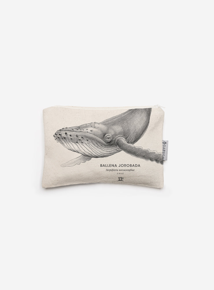Estuche – Ballena Jorobada