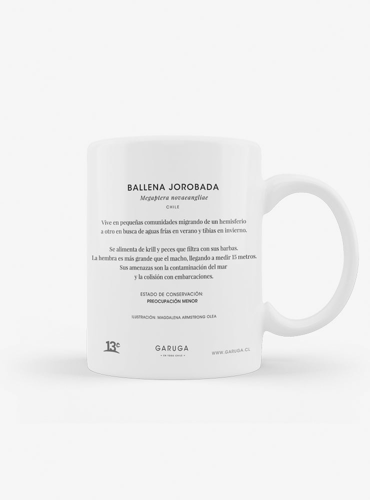 Tazón – Ballena Jorobada