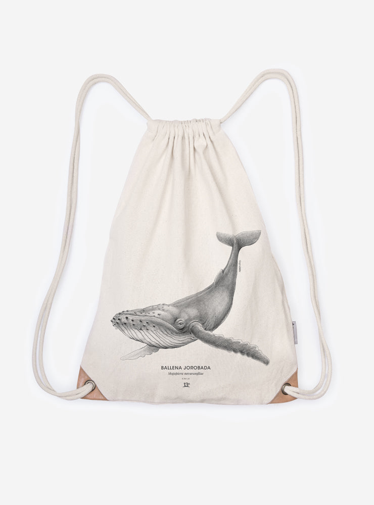 Mochila – Ballena Jorobada